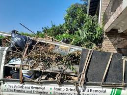 Best Commercial Junk Removal  in Altamont, TN