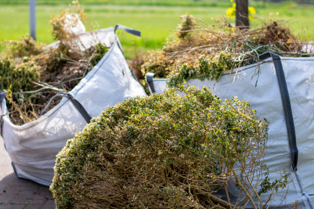 Best Yard Waste Removal  in Altamont, TN